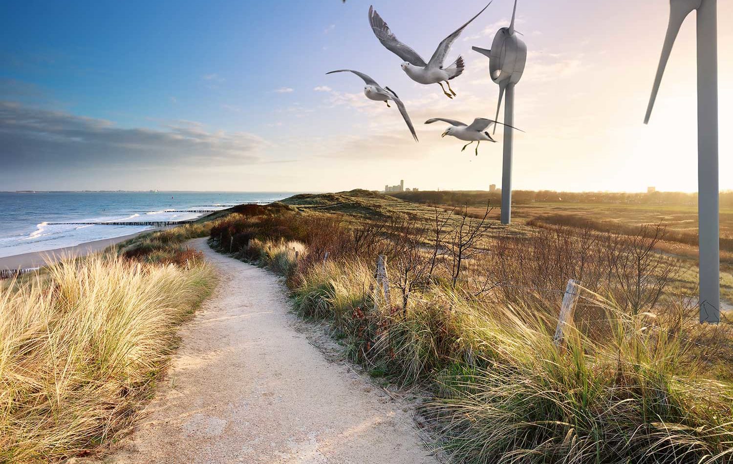 Windmolen WhisperRing vogelvriendelijk